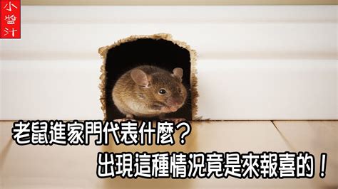 房子邊間風水 家中有老鼠